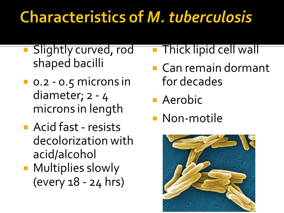 Tuberculosis (TB) Disease: Symptoms and Risk Factors